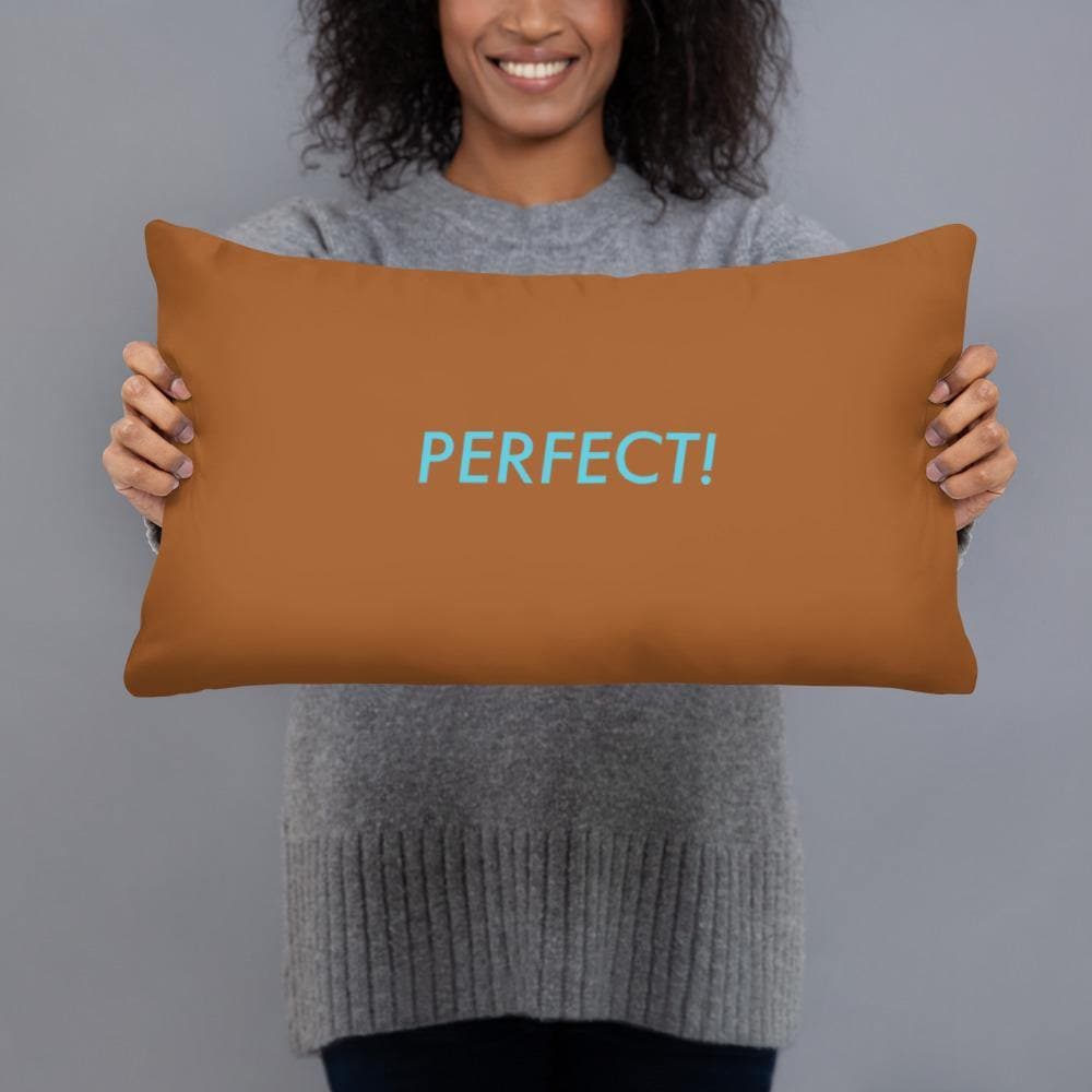 Perfect! (Brown) - Basic Pillow - Philip Charles Williams