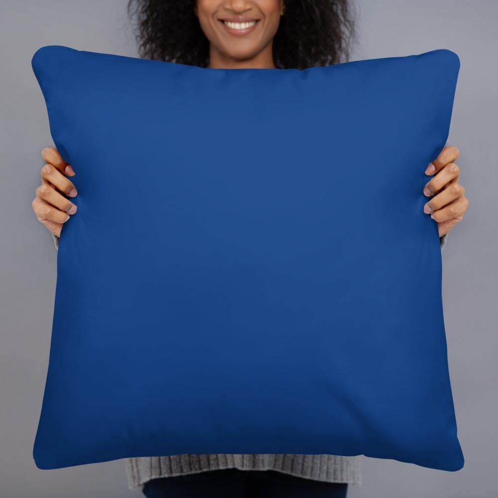 WON-DER-FUL (#2) Basic Pillow - Philip Charles Williams