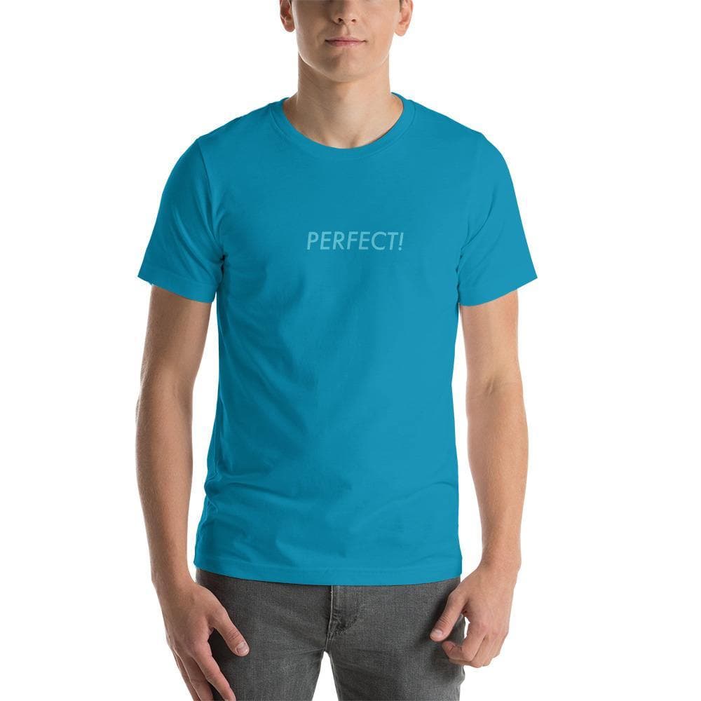 Perfect! (Blue)-  Short-Sleeve Unisex T-Shirt - Philip Charles Williams