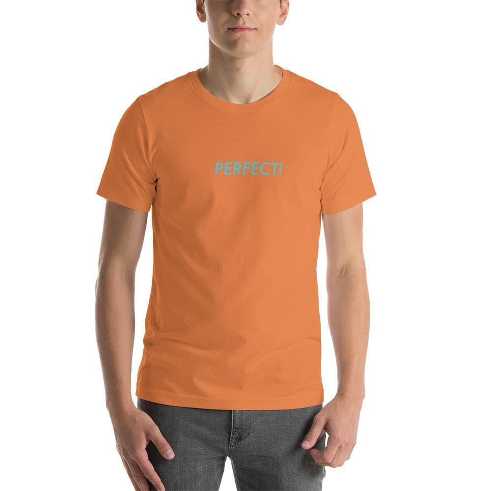 Perfect! (Blue)-  Short-Sleeve Unisex T-Shirt - Philip Charles Williams