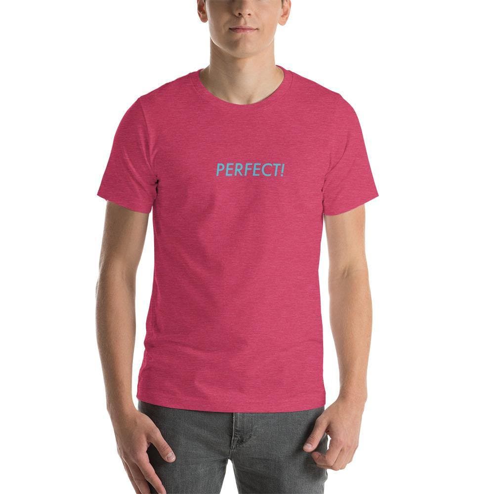 Perfect! (Blue)-  Short-Sleeve Unisex T-Shirt - Philip Charles Williams