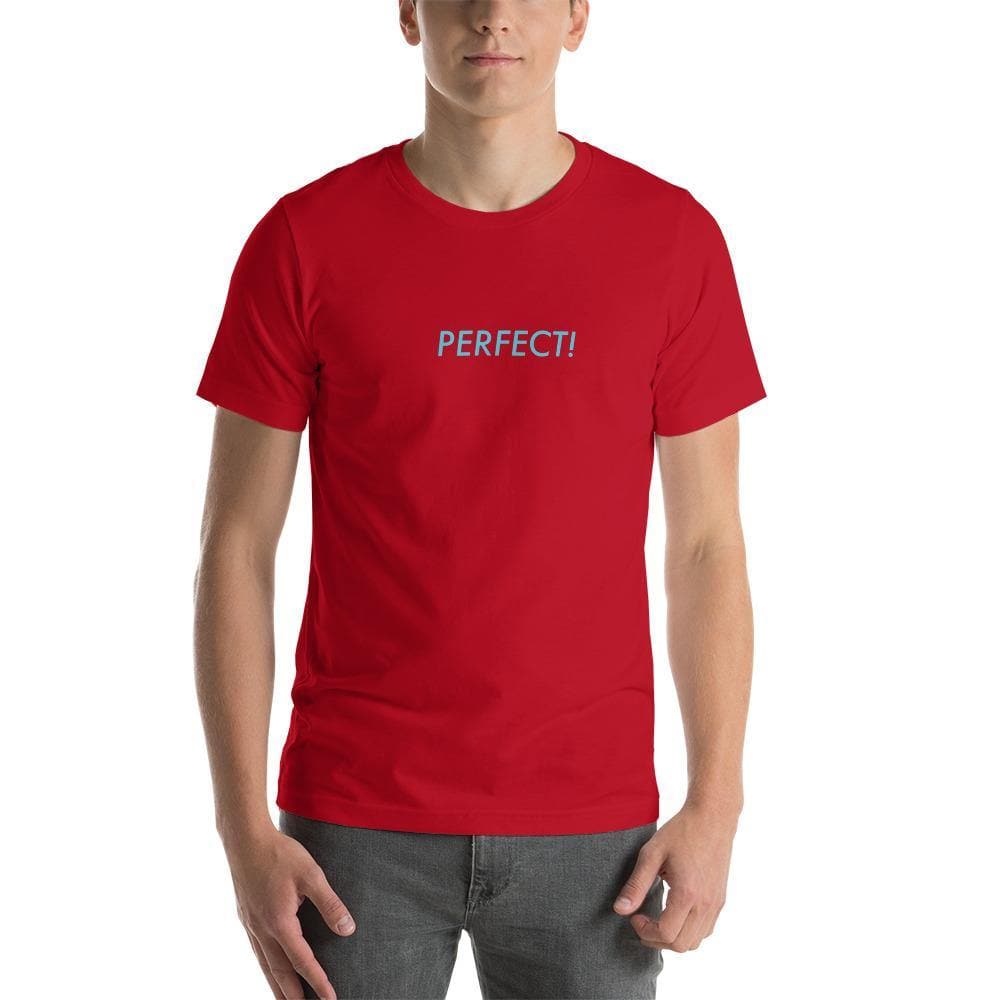 Perfect! (Blue)-  Short-Sleeve Unisex T-Shirt - Philip Charles Williams